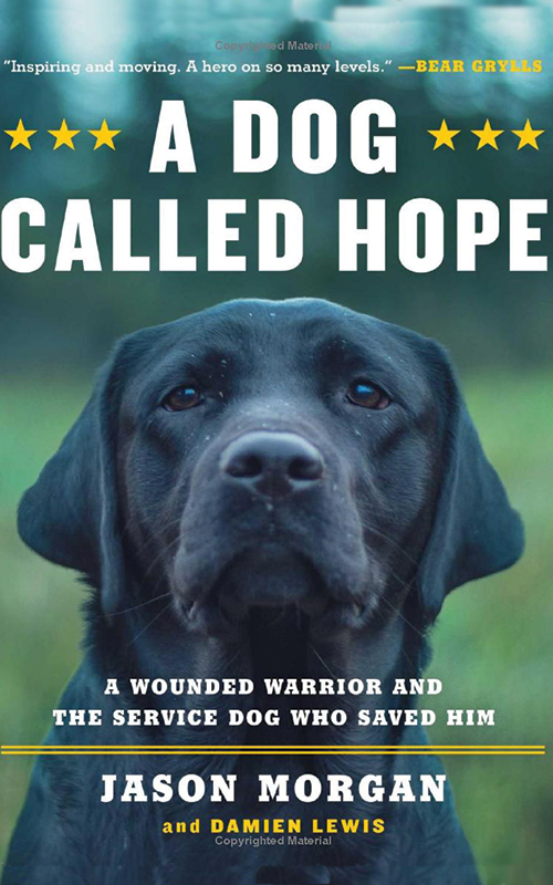 Book cover of A Dog Called Hope